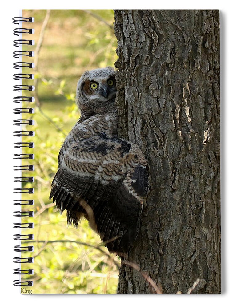 Great Horned Owl Spiral Notebook featuring the photograph Tree Hugger by Heather King