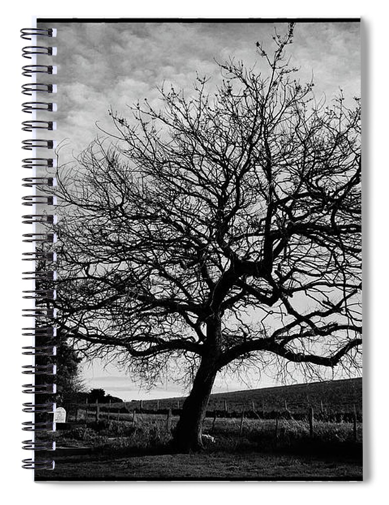 Landscape Spiral Notebook featuring the photograph Tree in a country cemetery in winter by Frank Lee