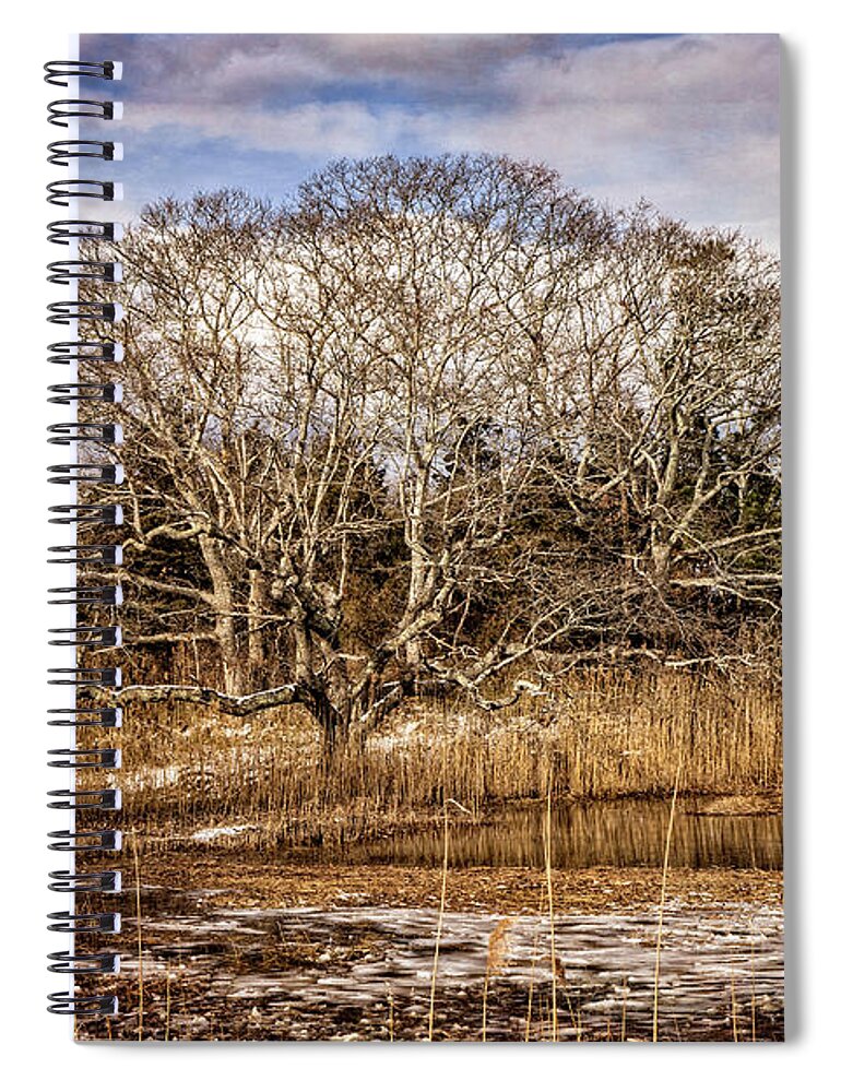 Marsh Spiral Notebook featuring the photograph Tree in Marsh by Frank Winters