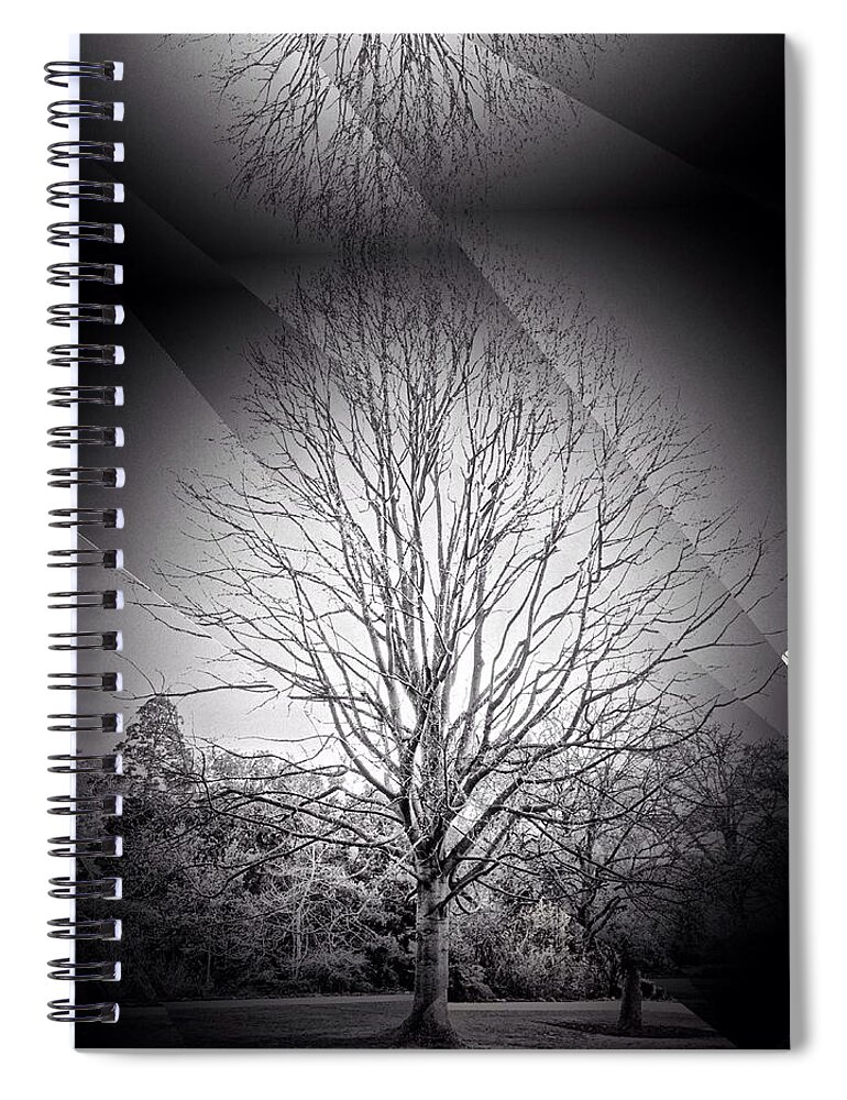 Tree Spiral Notebook featuring the photograph Tree Line by Mark Taylor