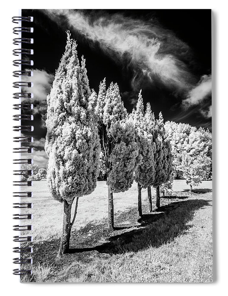 Infrared Spiral Notebook featuring the photograph Tree Line-Up by Roseanne Jones
