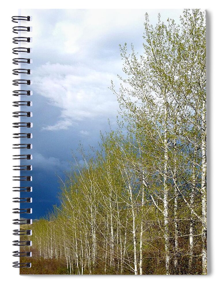 Tree Line Spiral Notebook featuring the photograph Tree Line by Will Borden