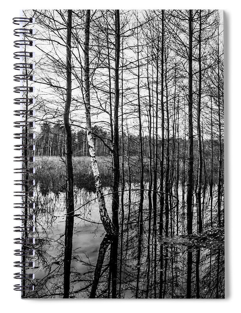 Abstract Spiral Notebook featuring the photograph Tree Lines by Dmytro Korol
