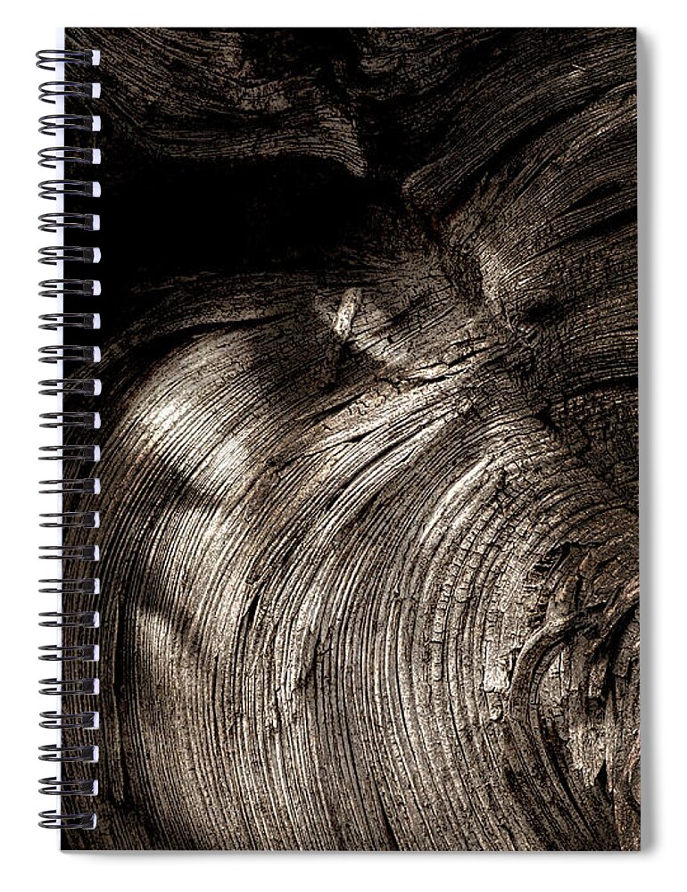 Trees Spiral Notebook featuring the photograph Tree Memories # 31 by Ed Hall