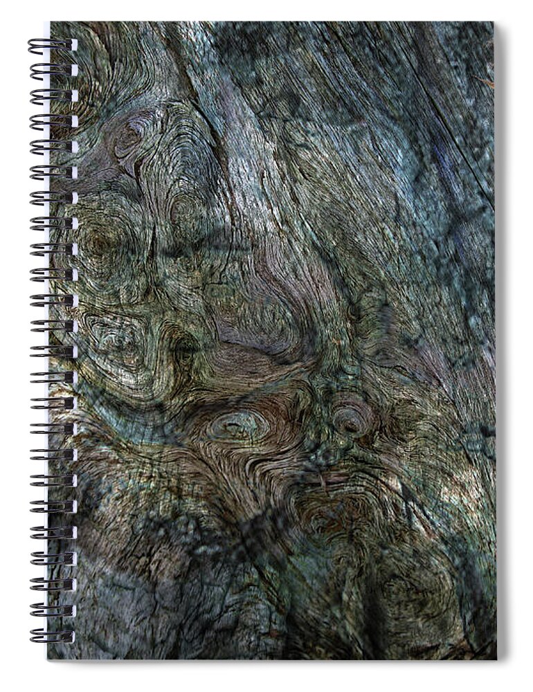 Trees Spiral Notebook featuring the photograph Tree Memories # 33 by Ed Hall
