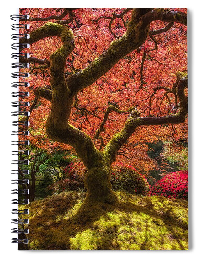 Tree Spiral Notebook featuring the photograph Tree of Flames by Harry Spitz