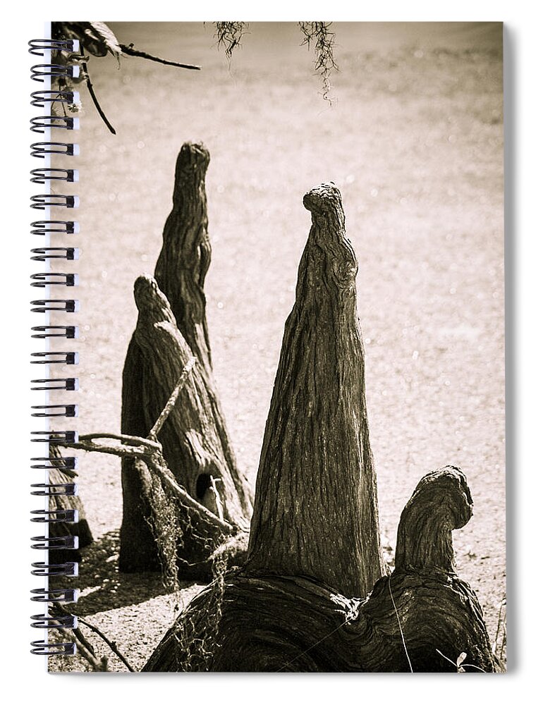 Bog Spiral Notebook featuring the photograph Tree People by Marilyn Hunt