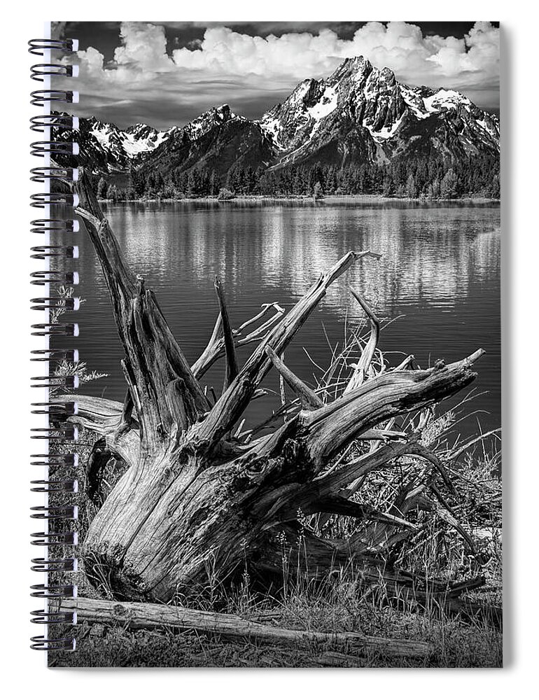 Art Spiral Notebook featuring the photograph Tree Stump on the Northern Shore of Jackson Lake in Black and White by Randall Nyhof