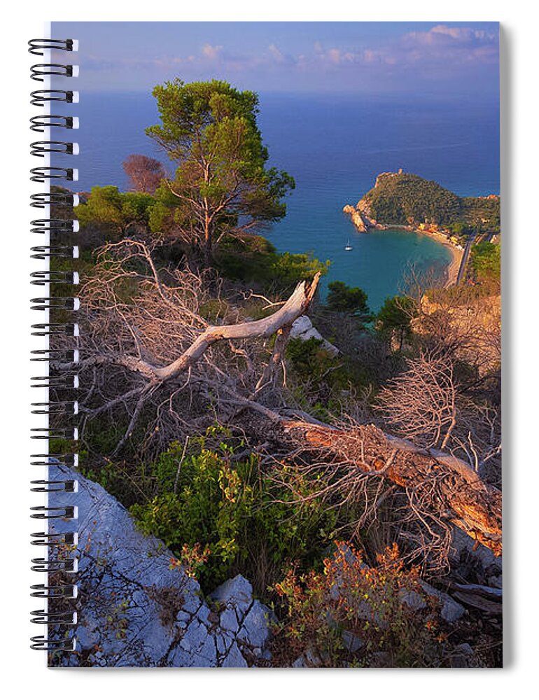 Seascape Spiral Notebook featuring the photograph Tree stumps overlook by Giovanni Allievi