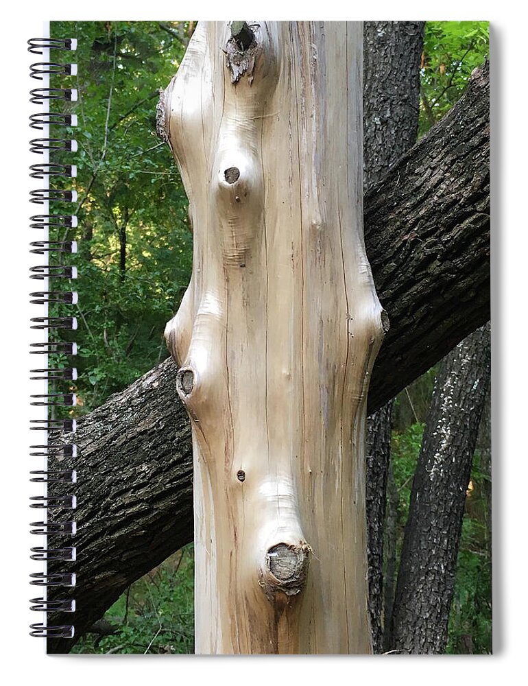 Texture Spiral Notebook featuring the photograph Tree Textures by Doris Aguirre