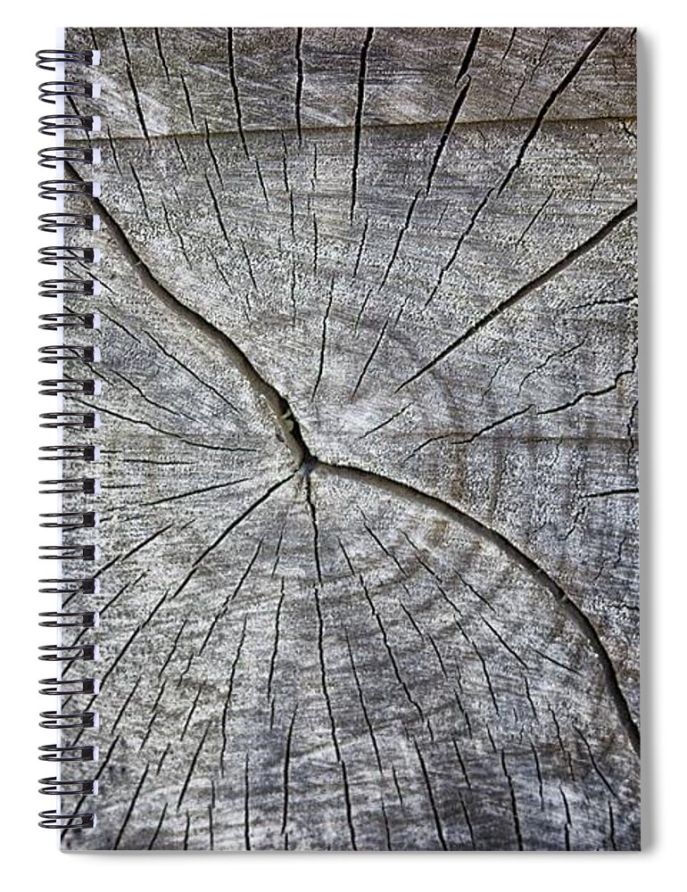 Trunk Spiral Notebook featuring the photograph Tree Textures by Martin Newman