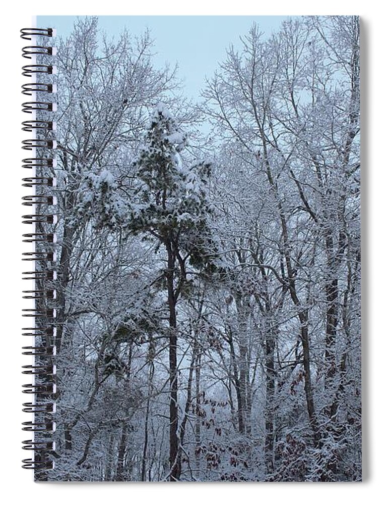 Trees Spiral Notebook featuring the photograph Tree Tops by Ali Baucom