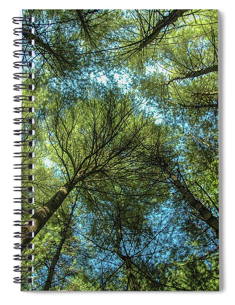 Forest Spiral Notebook featuring the photograph Tree Tops by Cathy Kovarik