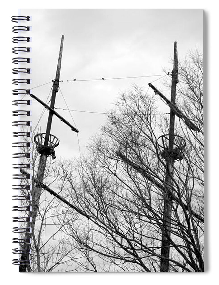 Trees Spiral Notebook featuring the photograph Tree Types by Valentino Visentini