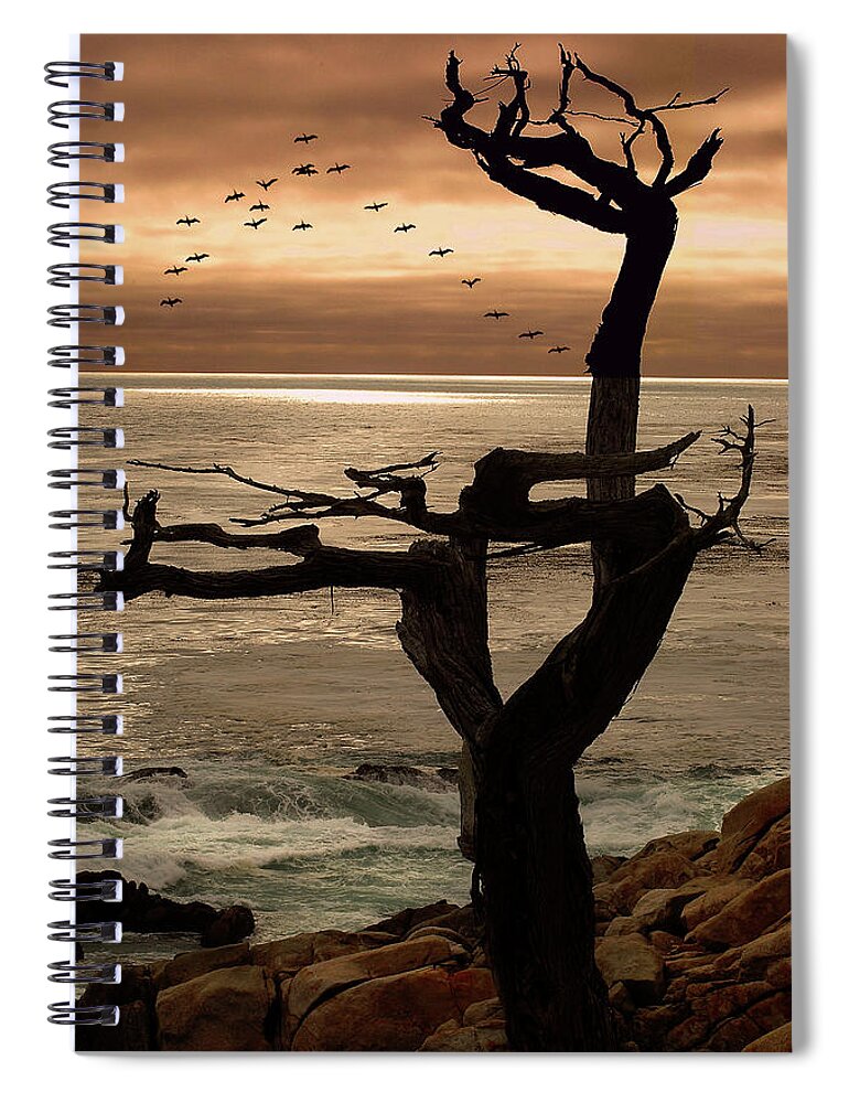 Tree Spiral Notebook featuring the photograph Tree with Birds by Harry Spitz