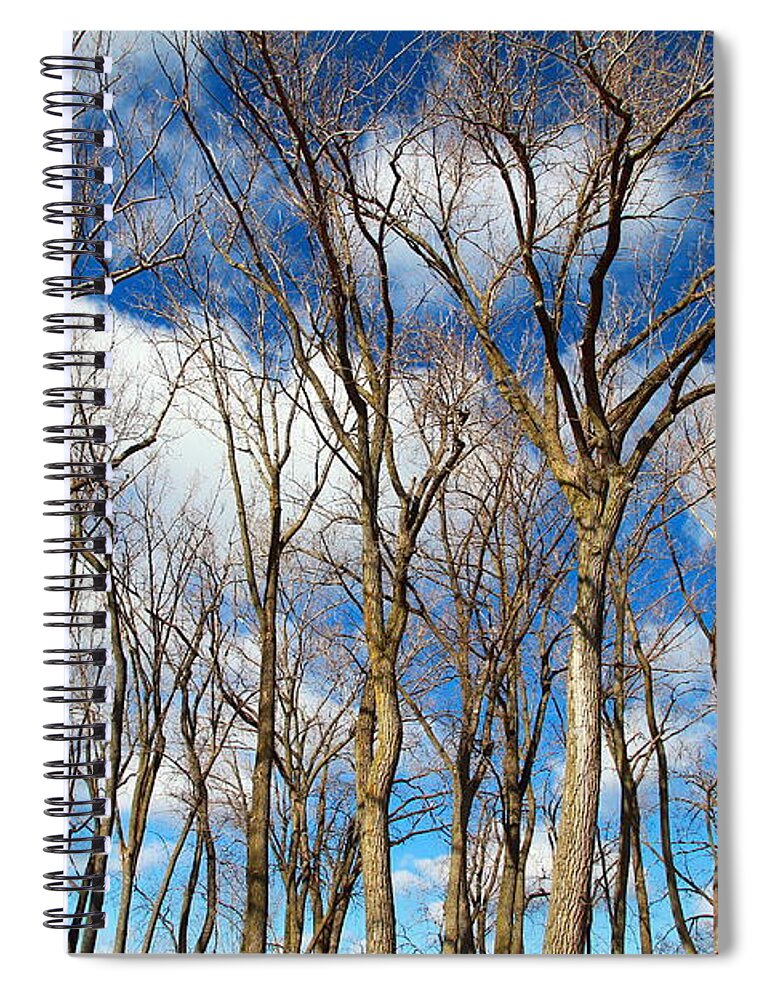 Winter Spiral Notebook featuring the photograph Trees and Clouds by Valentino Visentini