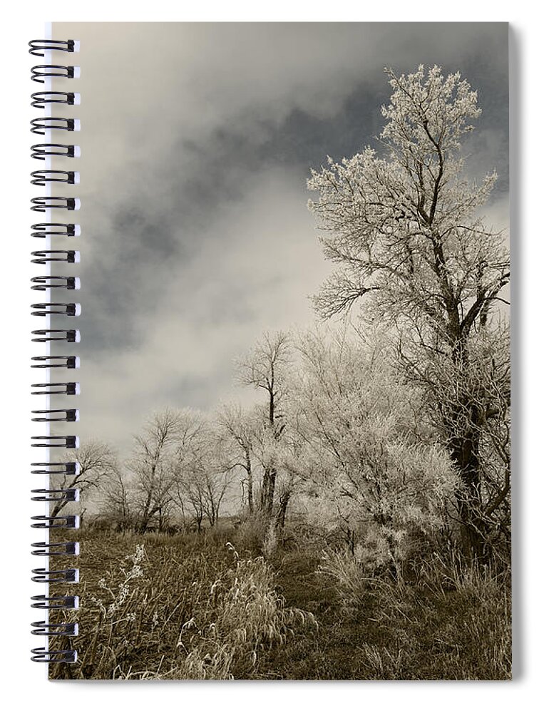Trees Spiral Notebook featuring the photograph Trees Covered in Hoar Frost by Art Whitton