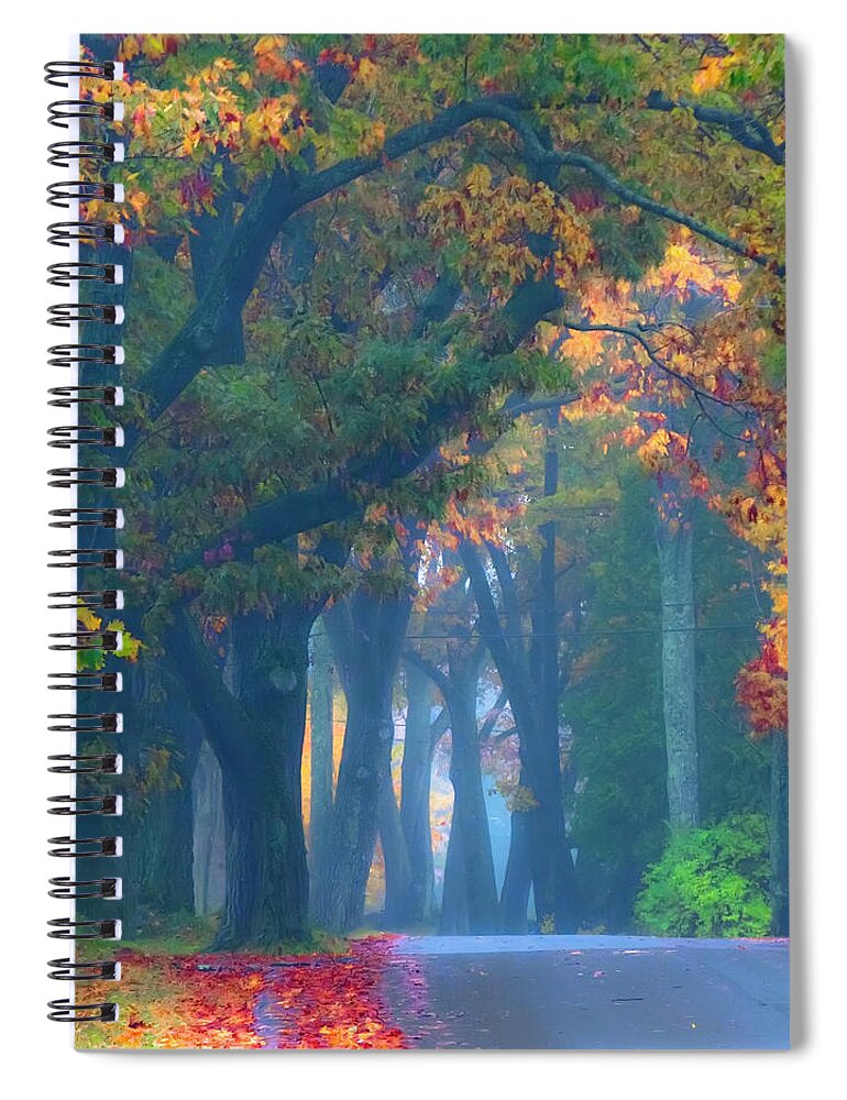 Fall Spiral Notebook featuring the photograph Trees Crossing the Road by Jeff Cooper