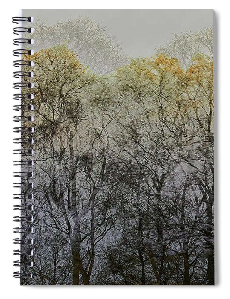 Trees Spiral Notebook featuring the photograph Trees illuminated by faint sunshine, double exposed image by Nick Biemans