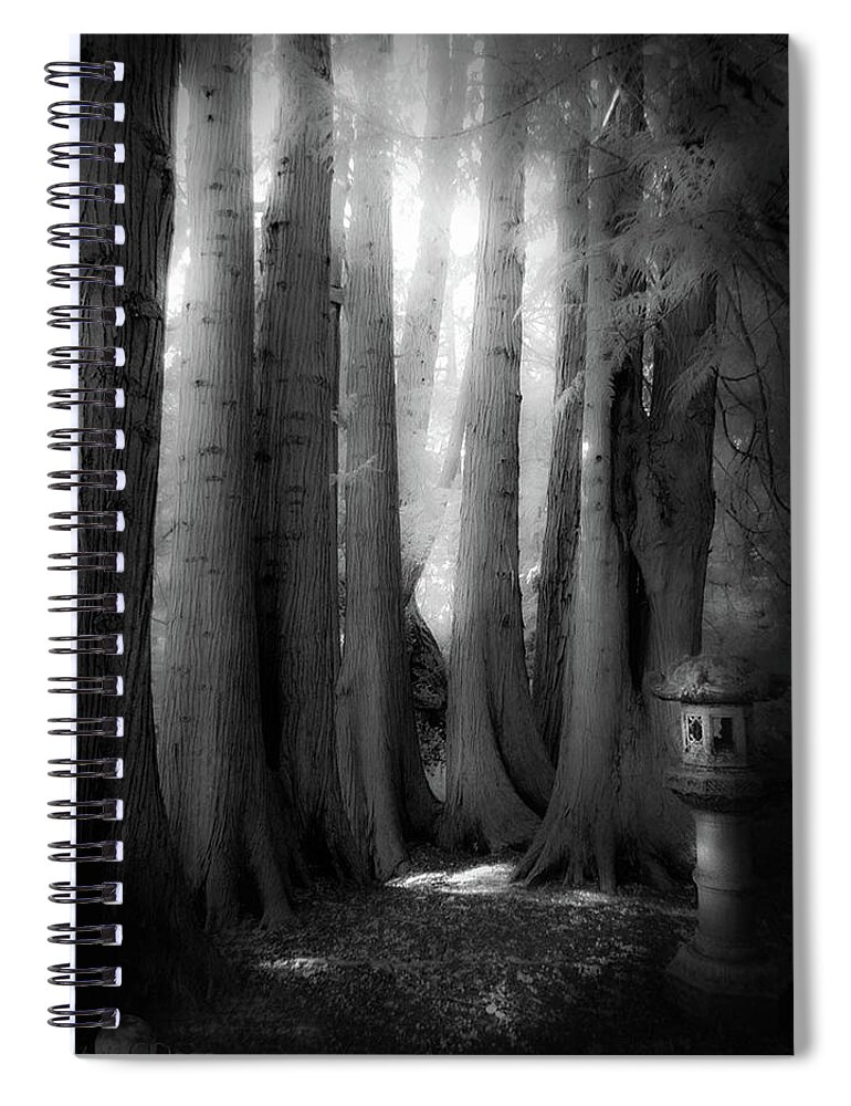  Spiral Notebook featuring the photograph Haunted Grove by Cybele Moon