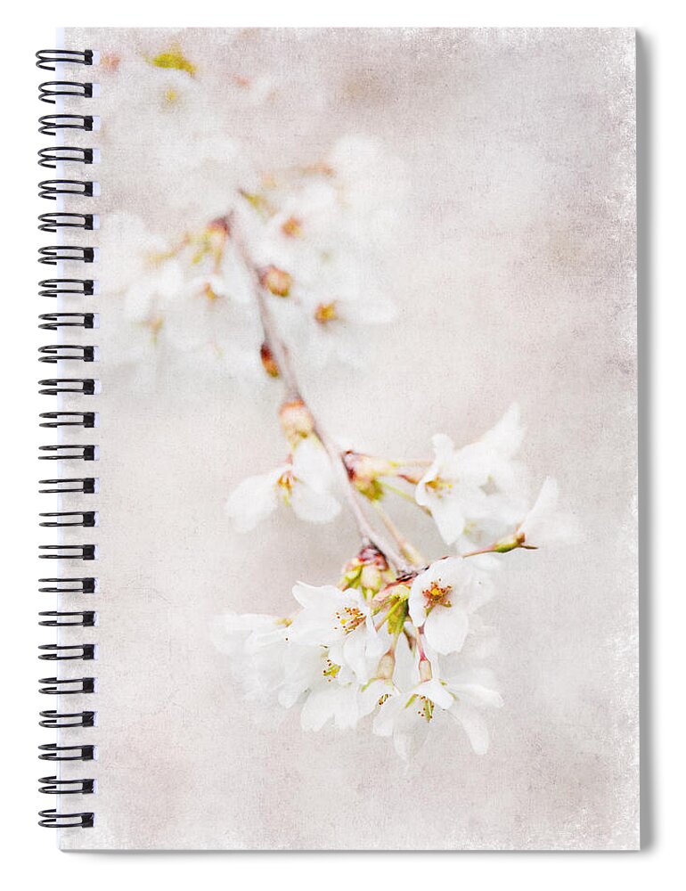 Flowers Spiral Notebook featuring the photograph Triadelphia Cherry Blossoms by Jill Love