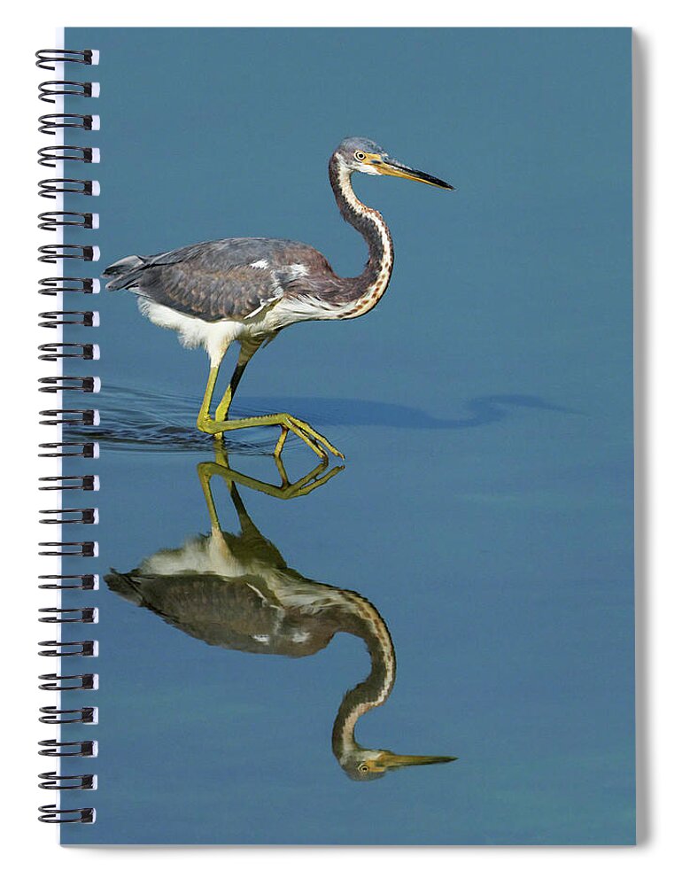 Alone Spiral Notebook featuring the photograph Tricolor Reflection by Dawn Currie