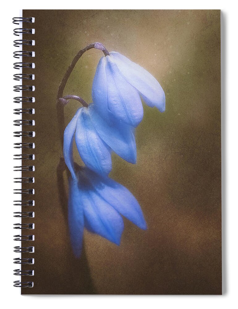 Landscape Spiral Notebook featuring the photograph Trio of Spring Flowers by Scott Norris