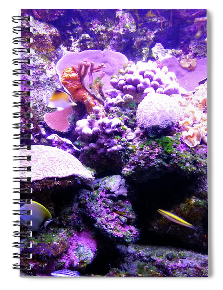 Aquarium Spiral Notebook featuring the photograph Tropical Aquarium by Francesca Mackenney