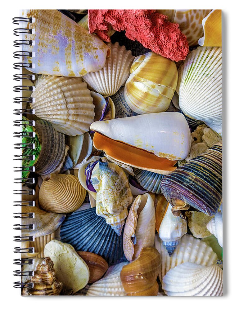 1550b Spiral Notebook featuring the photograph Tropical Beach Seashell Treasures 1550B by Ricardos Creations