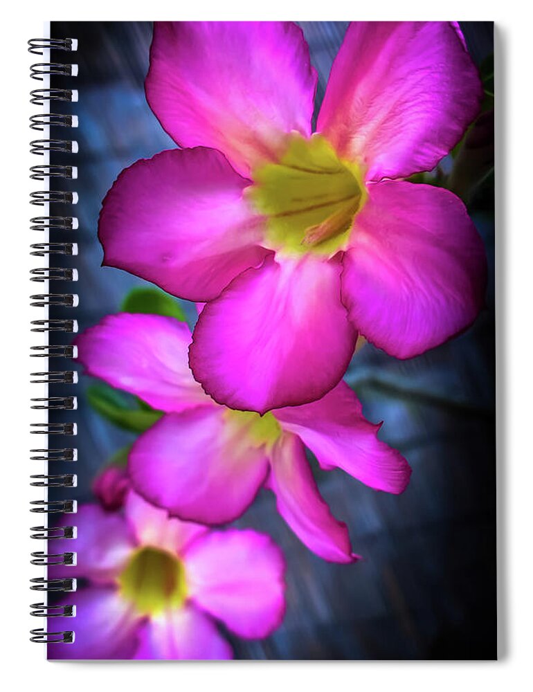 Plumeria Spiral Notebook featuring the photograph Tropical Bliss by Karen Wiles