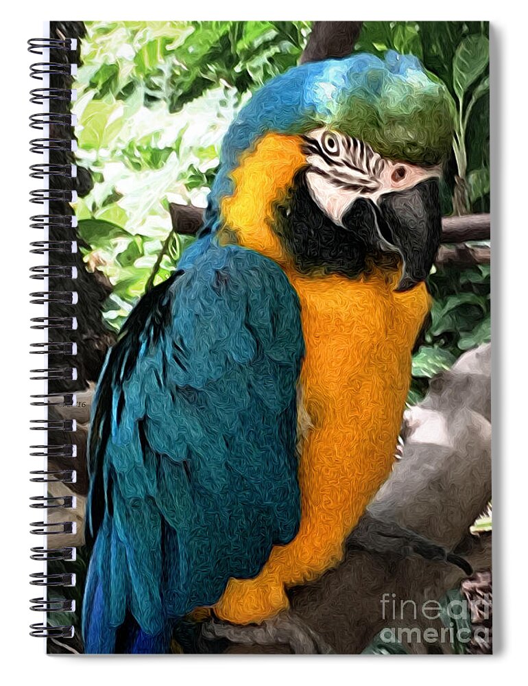 Parrot Spiral Notebook featuring the photograph Tropical Hawaiian Parrot by Phil Perkins