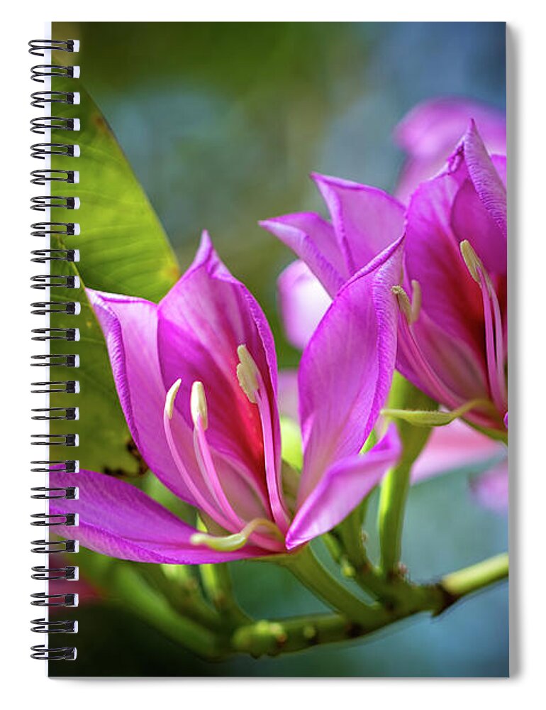 Flowers Spiral Notebook featuring the photograph Tropical Line Dance by Laura Roberts