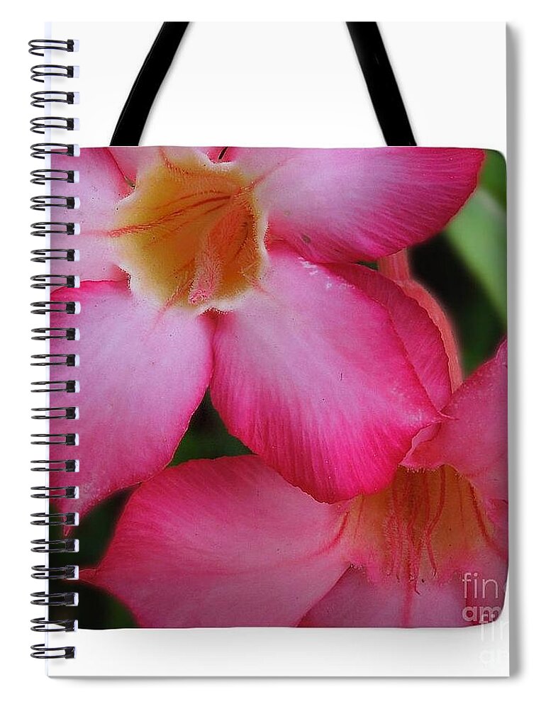 Tropical Spiral Notebook featuring the photograph Tropical Pinks by Mini Arora