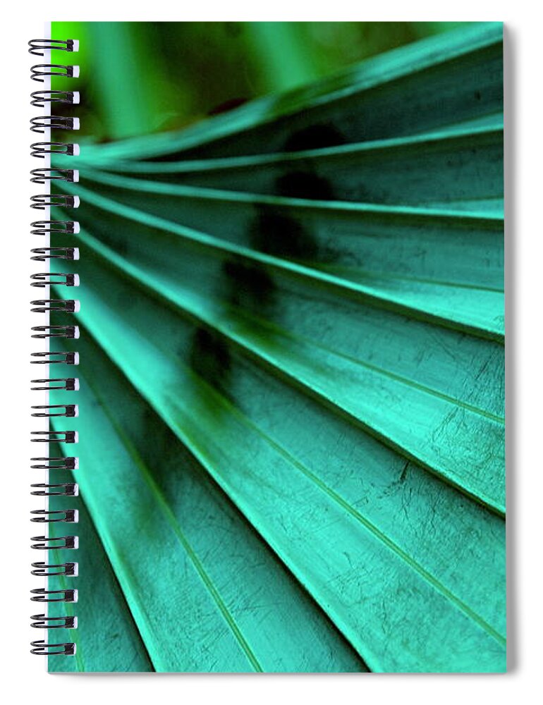 Silver Palm Leaf Spiral Notebook featuring the photograph Tropical Wings by Susanne Van Hulst