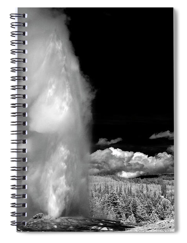 Ir Spiral Notebook featuring the photograph Truly Faithful by Brian Duram