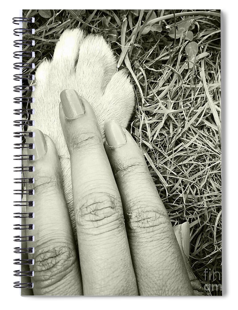 Paw Spiral Notebook featuring the photograph Trust by Onedayoneimage Photography