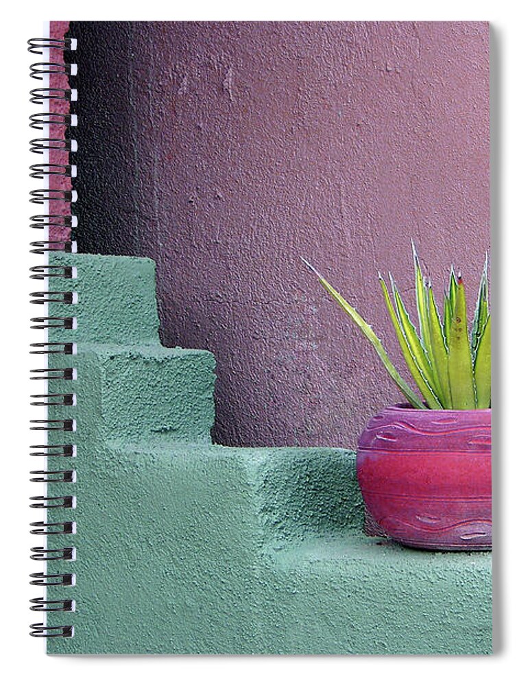 Design Spiral Notebook featuring the photograph Tubac Pot and Cactus by Jerry Griffin