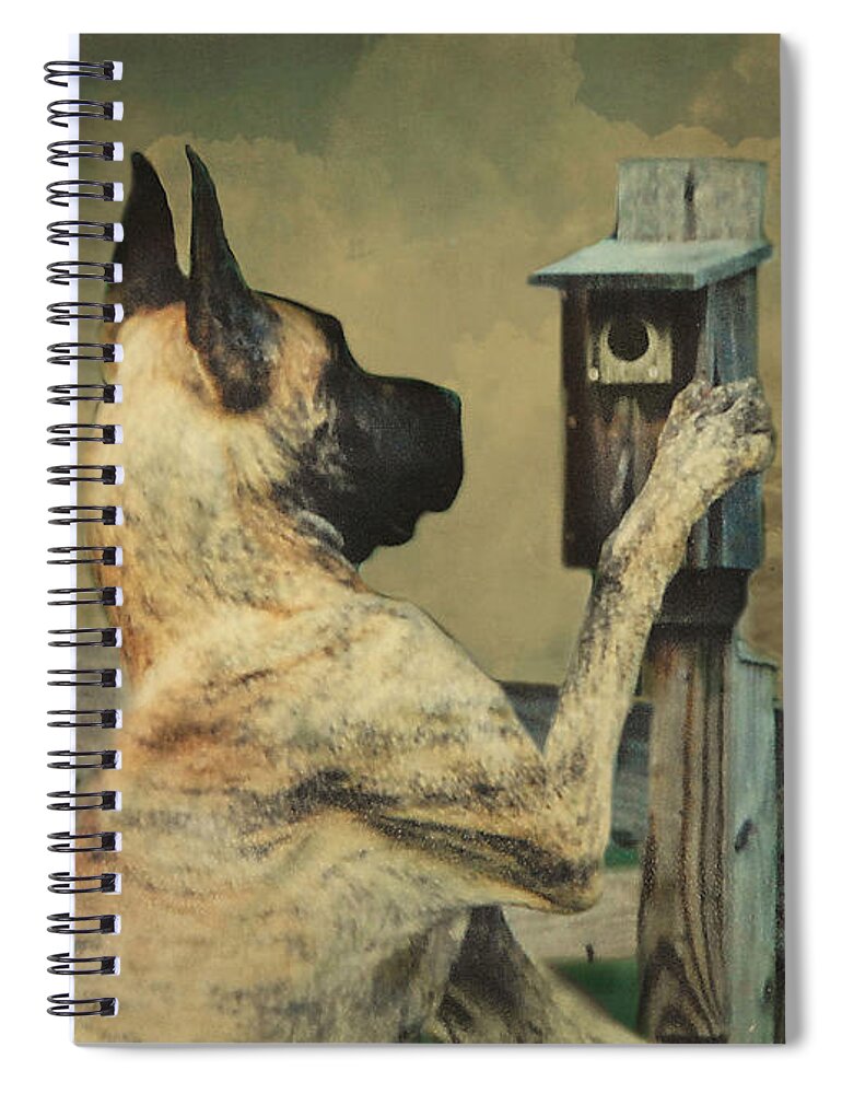 Great Dane Spiral Notebook featuring the photograph Tucker and the Birdhouse by Fran J Scott