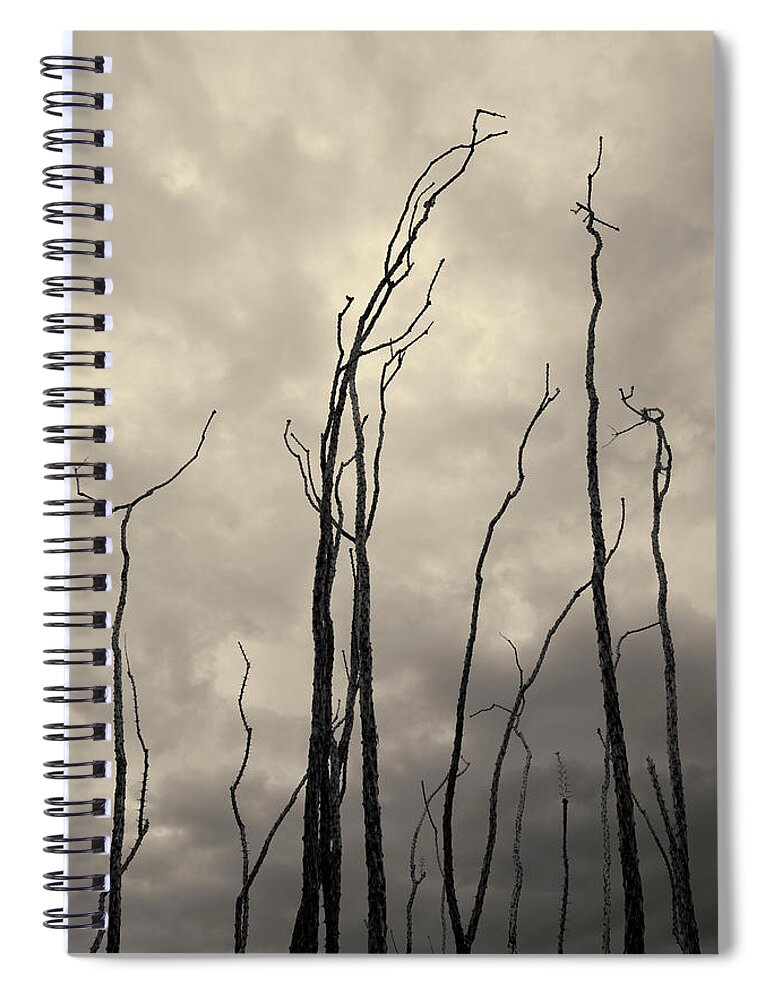 Landscape Spiral Notebook featuring the photograph Tucson III Toned by David Gordon