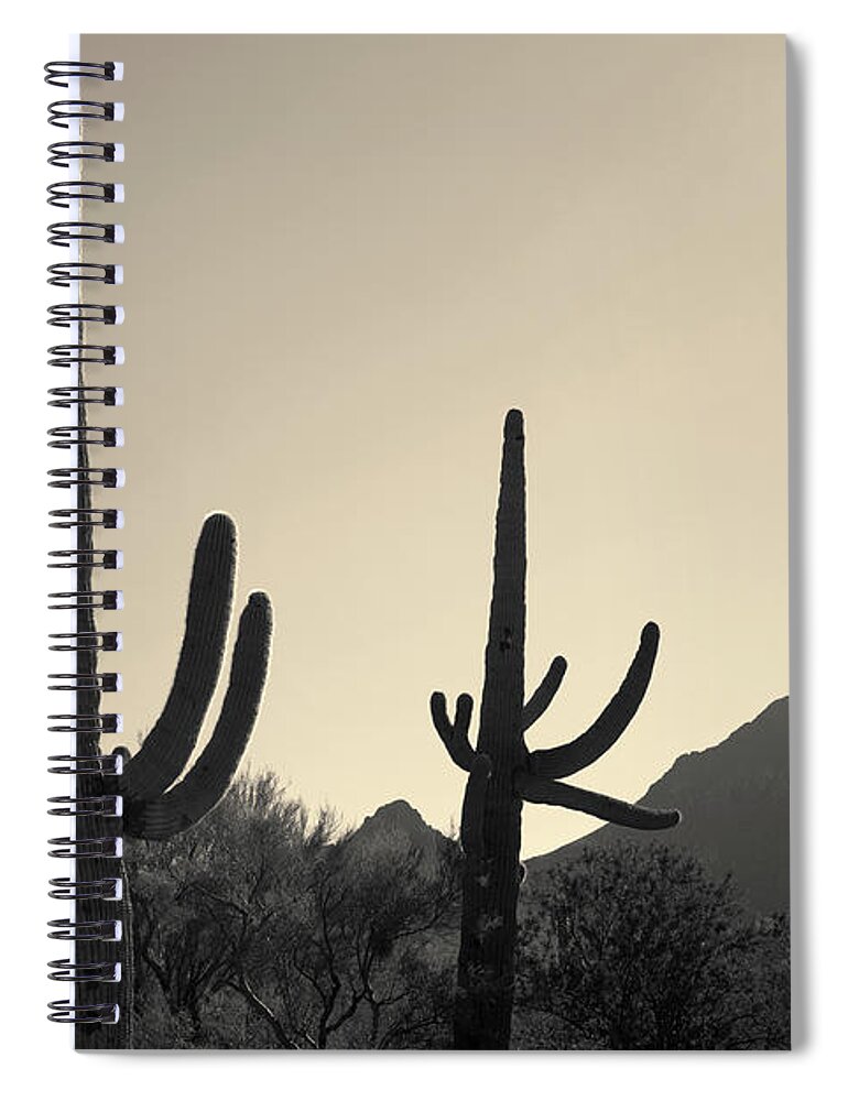 Landscape Spiral Notebook featuring the photograph Tucson IV Toned by David Gordon