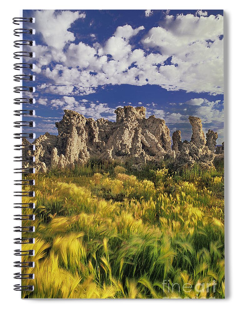 Dave Welling Spiral Notebook featuring the photograph Tufas And Wild Grasses Mono Lake State Park California by Dave Welling
