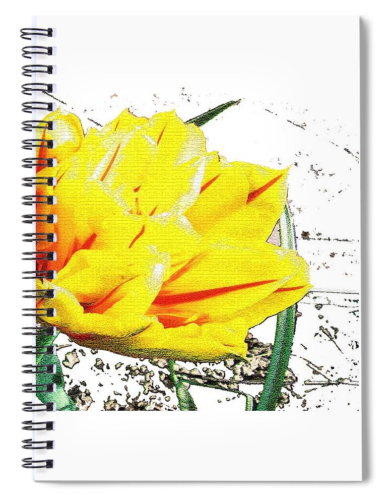 Tulip Spiral Notebook featuring the photograph Tulip 3 by Vesna Martinjak