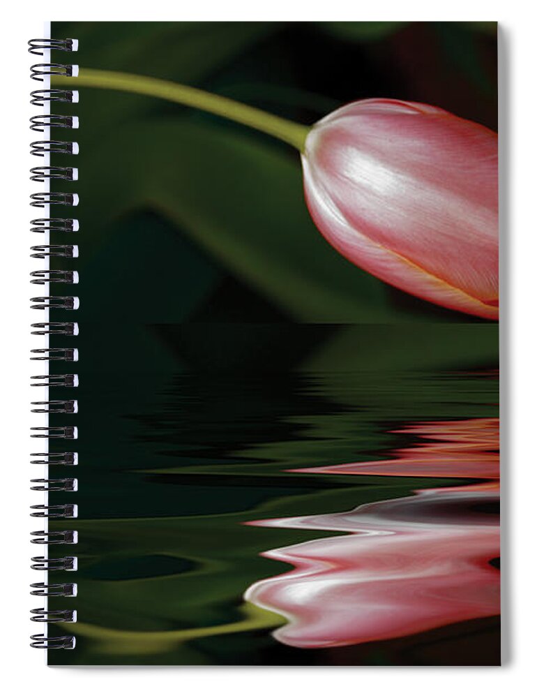 Tulip Spiral Notebook featuring the photograph Tulip Reflections by Elaine Teague
