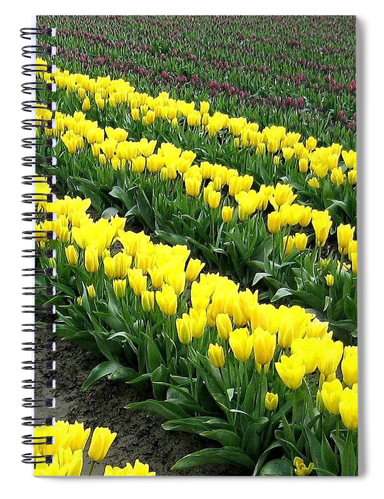 Agriculture Spiral Notebook featuring the photograph Tulip Town 9 by Will Borden