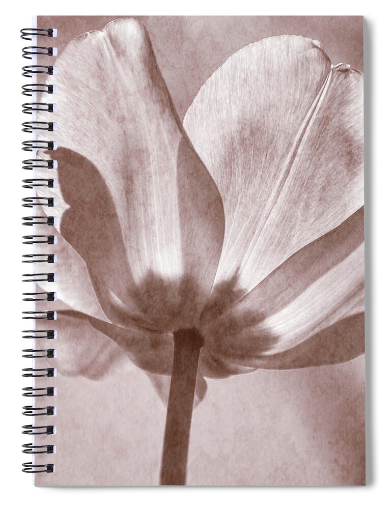 Tulips Spiral Notebook featuring the photograph Tulip Transparency IV by Leda Robertson