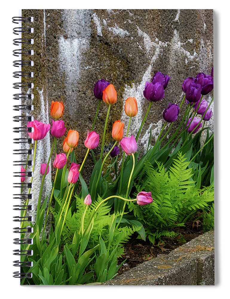 Tulips Spiral Notebook featuring the photograph Tulips in Ruin by Michael Hubley