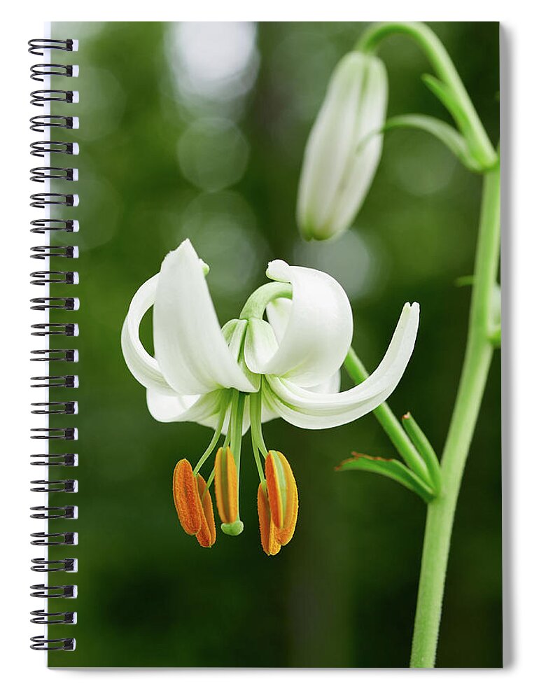 Finland Spiral Notebook featuring the photograph Turk's cap lily by Jouko Lehto