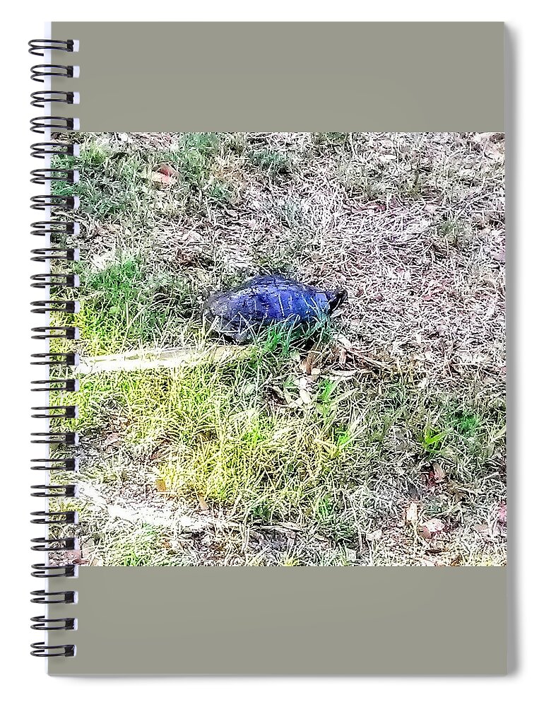 Turtle Spiral Notebook featuring the photograph Turtle Crossing by Suzanne Berthier