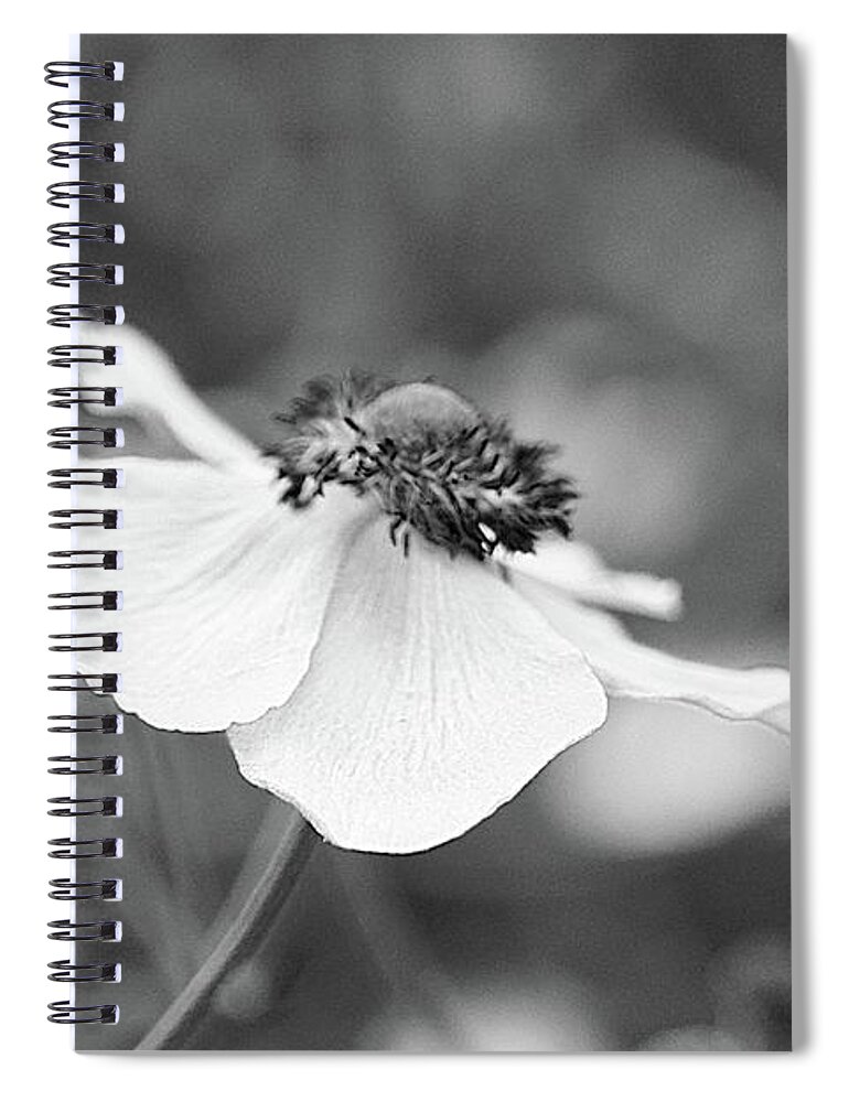 Flower Spiral Notebook featuring the photograph Tutu - a1bw1 by Variance Collections