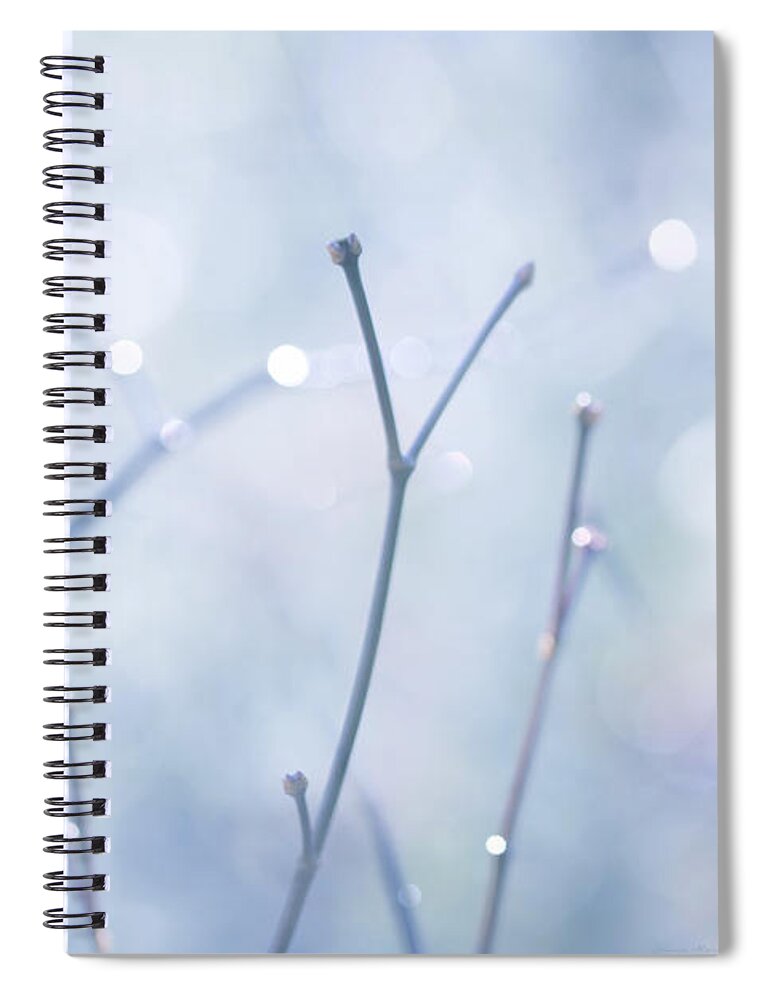 Branch Spiral Notebook featuring the photograph Twigs Blue by Jennie Marie Schell